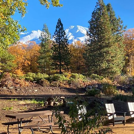 Basecamp Lodge Mount Shasta Eksteriør bilde