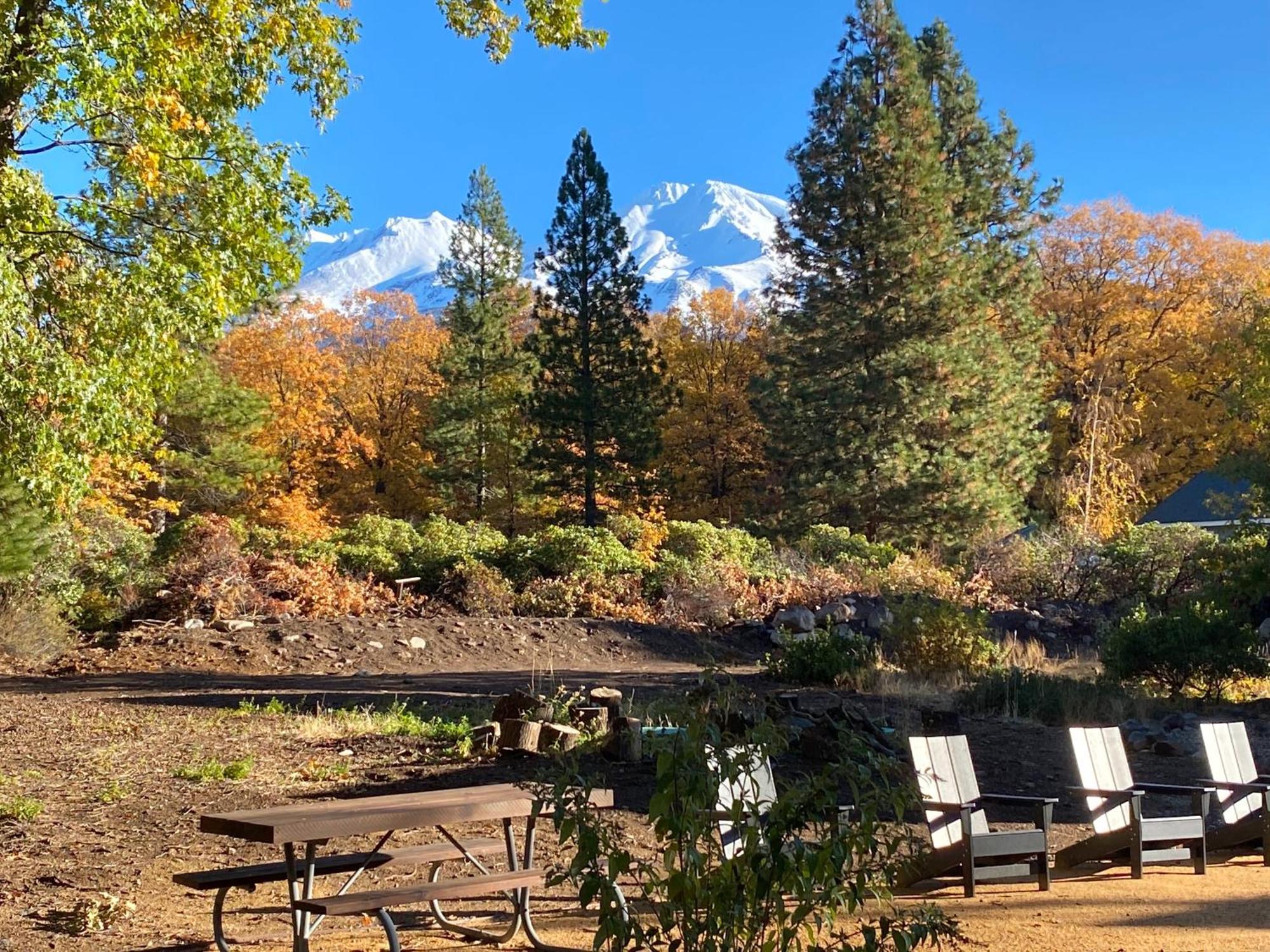 Basecamp Lodge Mount Shasta Eksteriør bilde